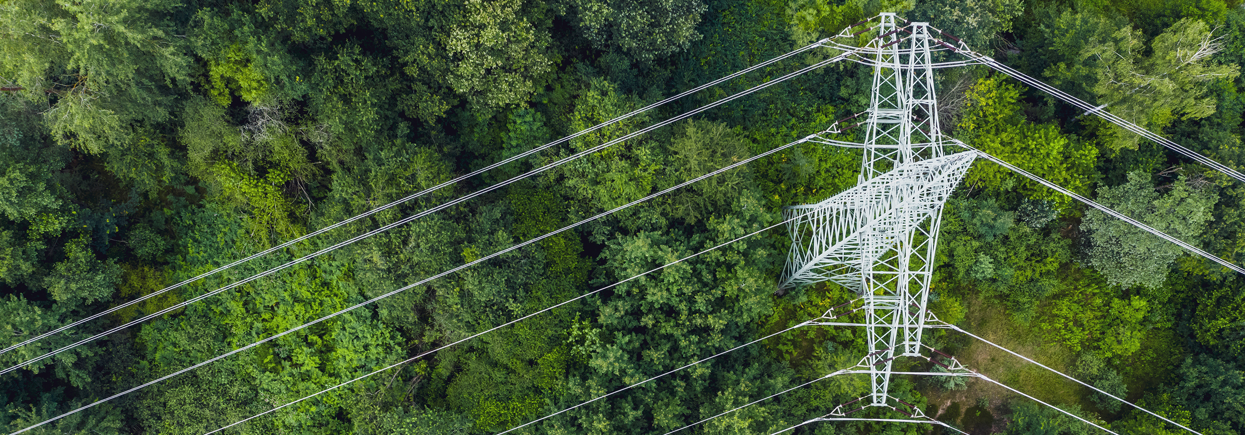 Stromleitungen über einem Wald Stromleitungen über einem Wald