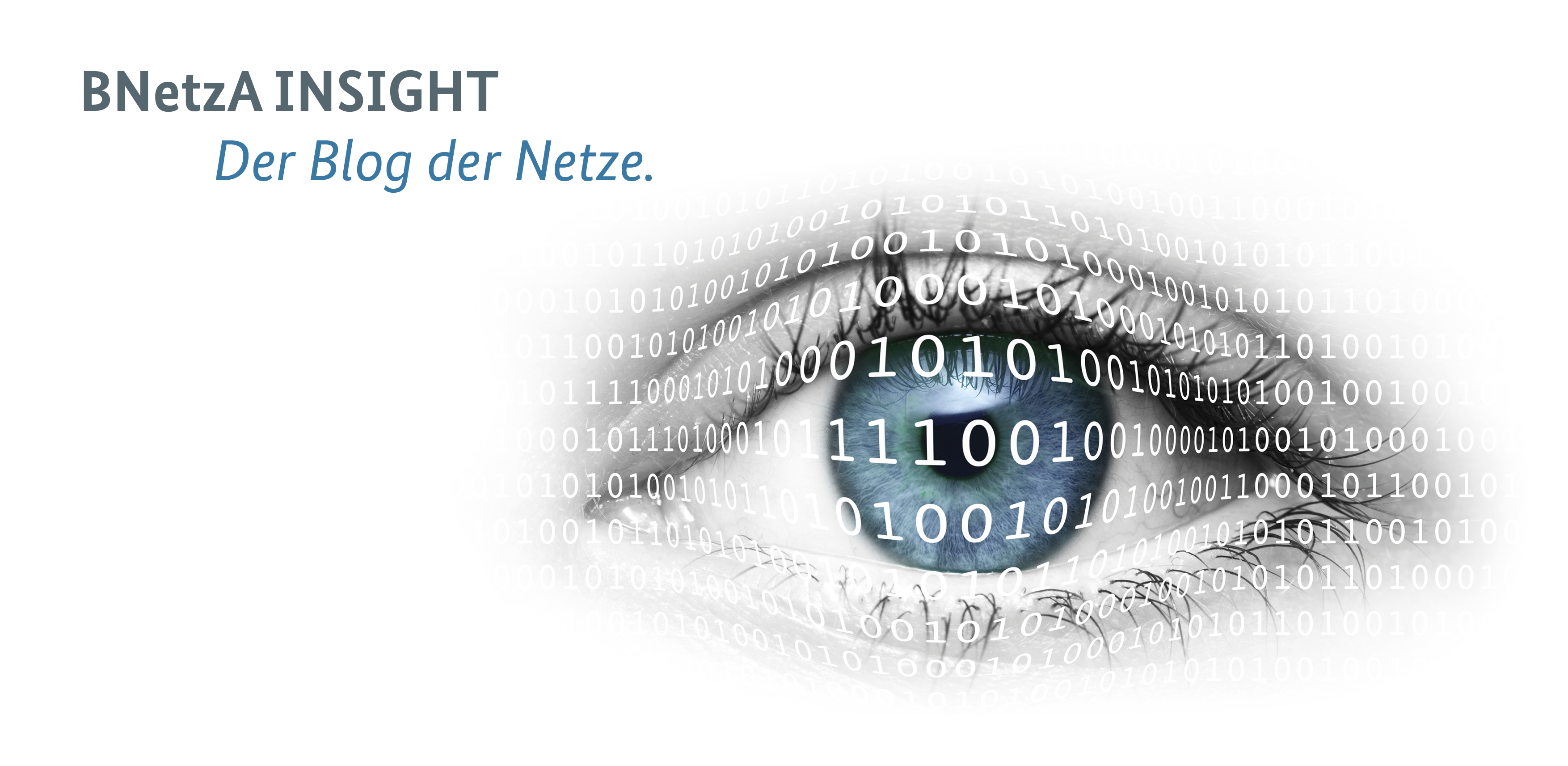 BNetzA INSIGHT - Der Blog der Netze.