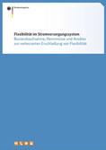 Titelblatt Bericht Flexibilität im Stromversorgungssystem (April 2017)